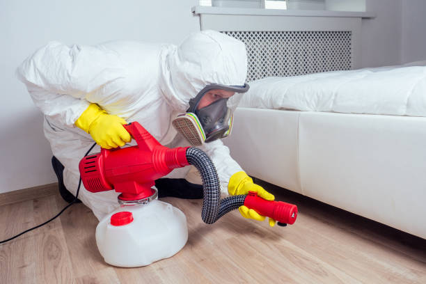 Best Residential Pest Control  in Llington, MI